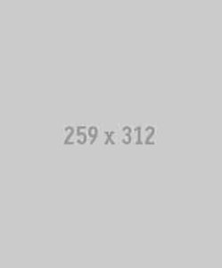 259x312